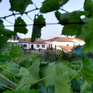  Ferienhaus Etna