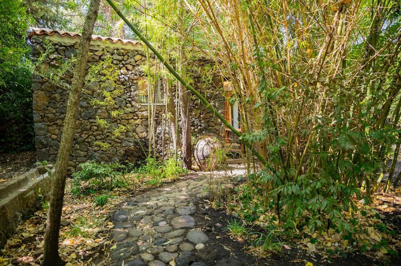Etna Botanic Garden Apartment Mascalucia