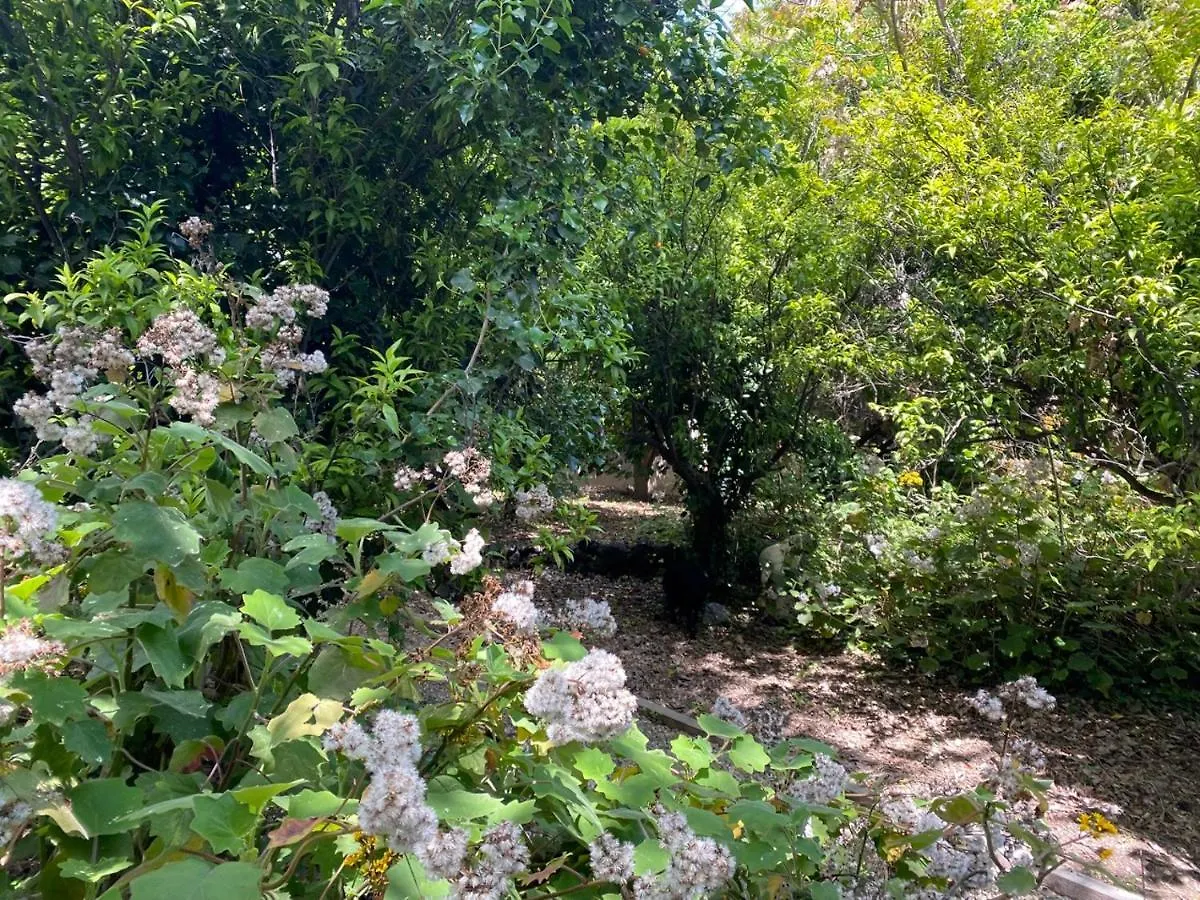 Etna Botanic Garden Apartment Mascalucia