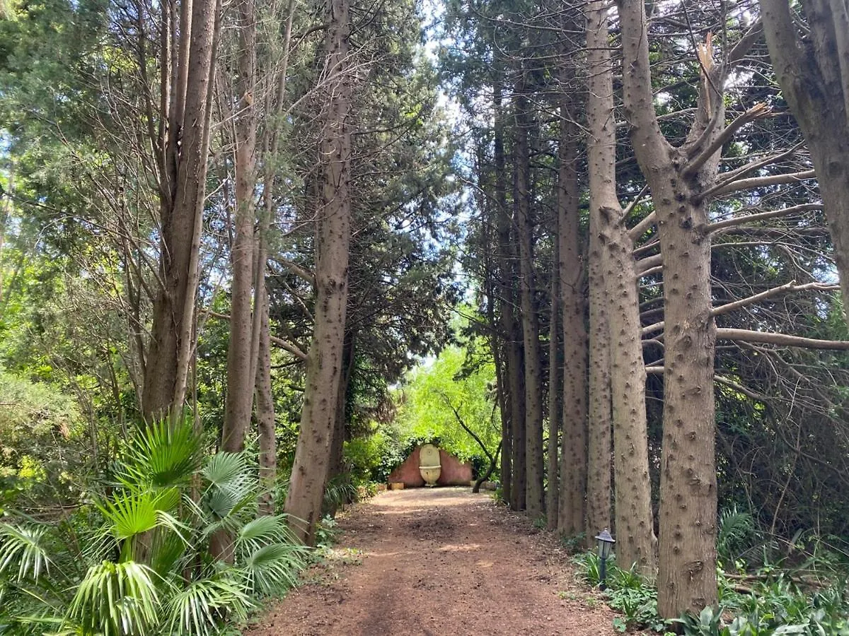 Etna Botanic Garden Apartment Mascalucia