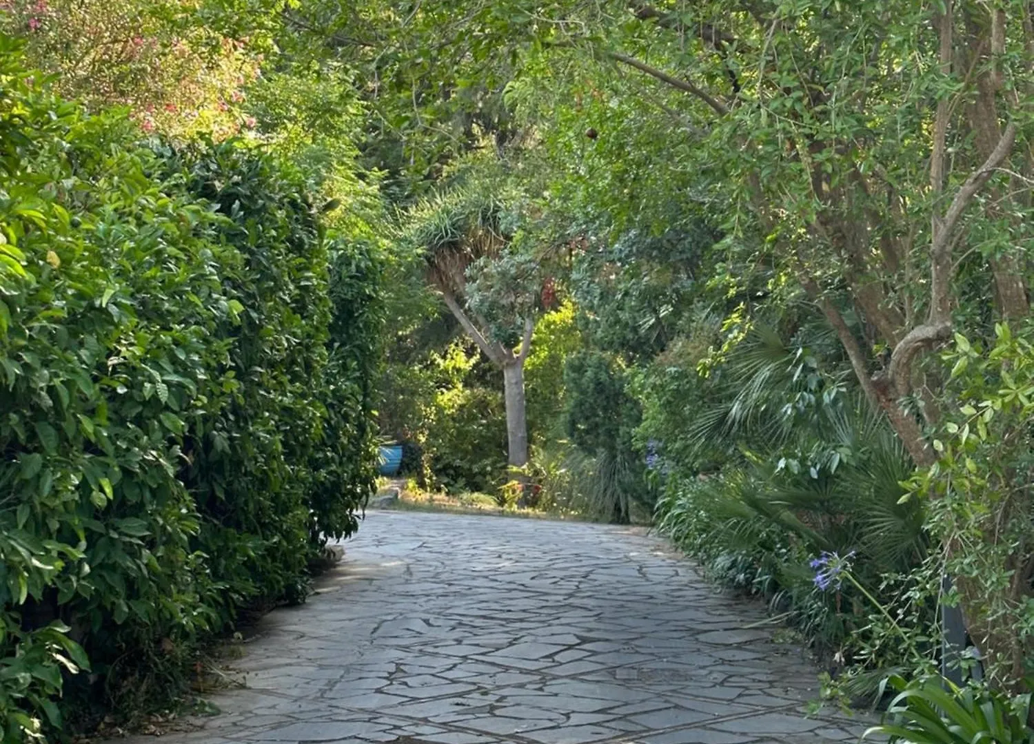Etna Botanic Garden Apartment Mascalucia