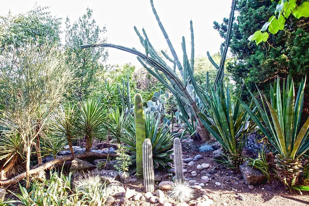 Etna Botanic Garden Apartment Mascalucia 0*,