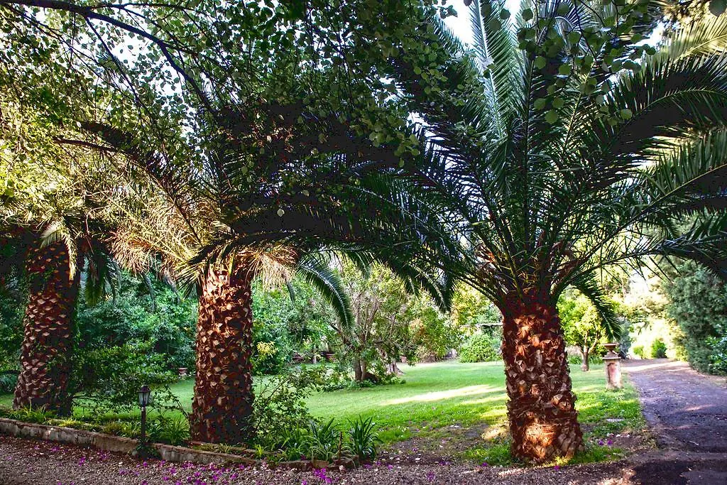 Etna Botanic Garden Apartment Mascalucia Italy